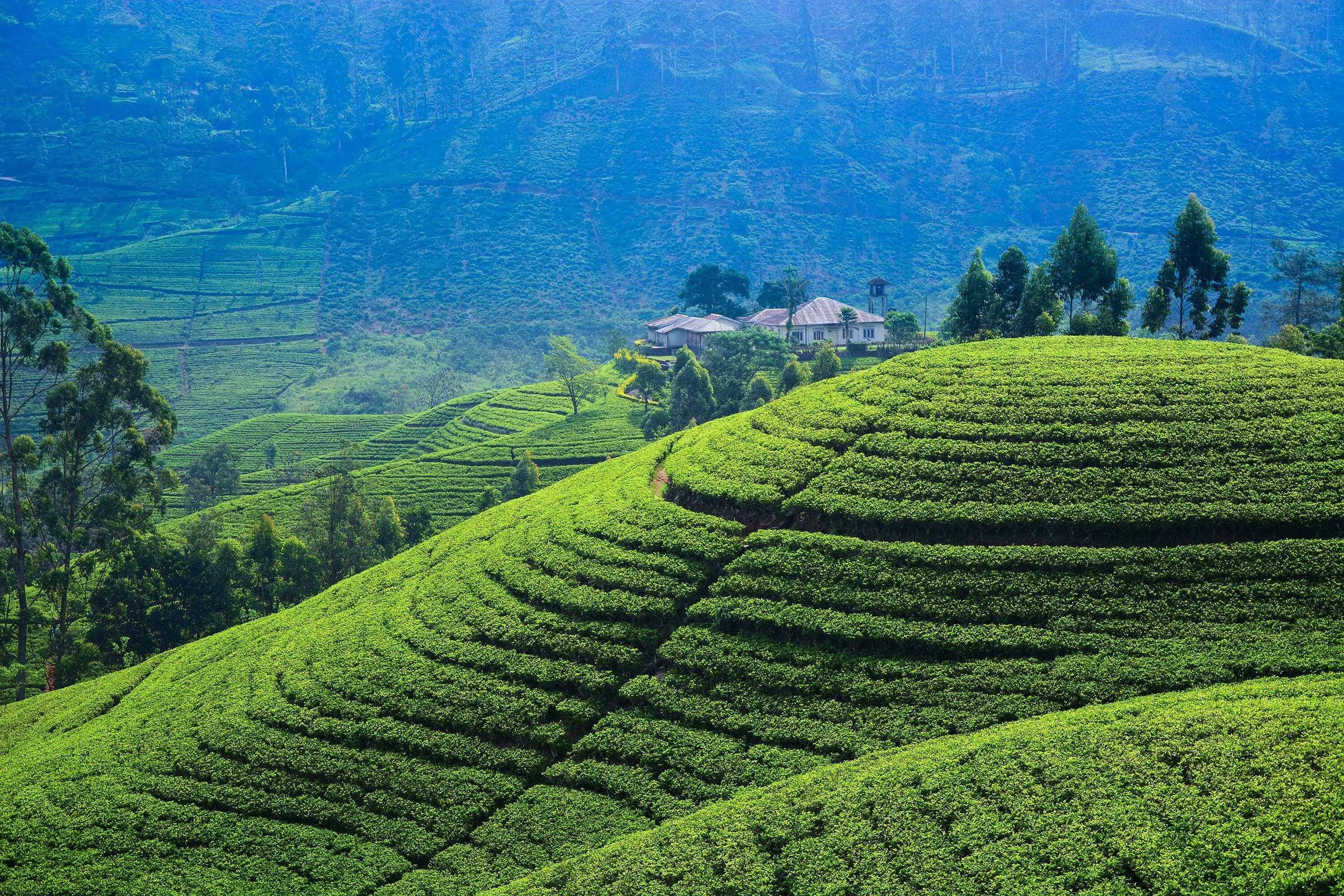 Sri Lanka scenery
