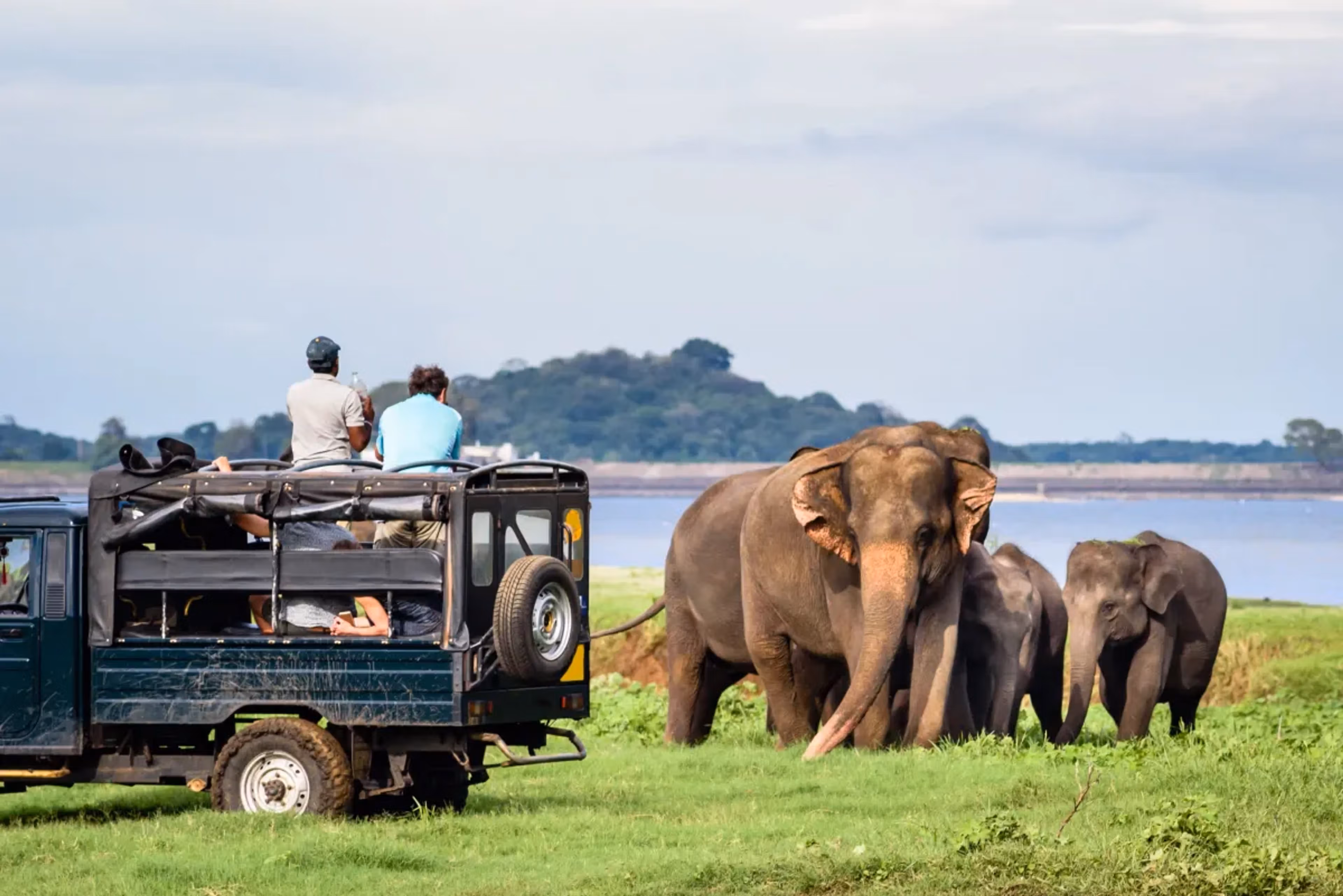 Wildlife Day Tour